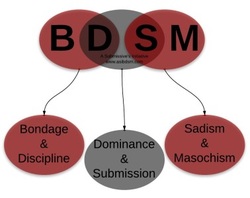 Scarlett B Wilde: BDSM - Establish Trust